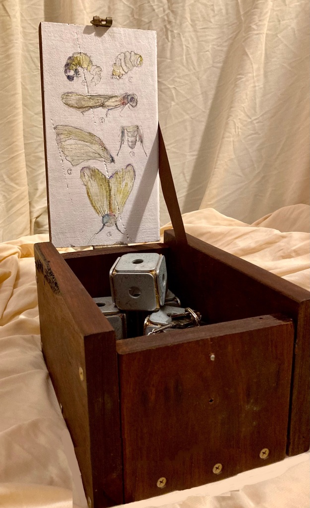 ‘Coffer-coffinus’ (22x16x13cm) wooden box, latch, keys, locks, ribbon, watercolor pencil, gold wax